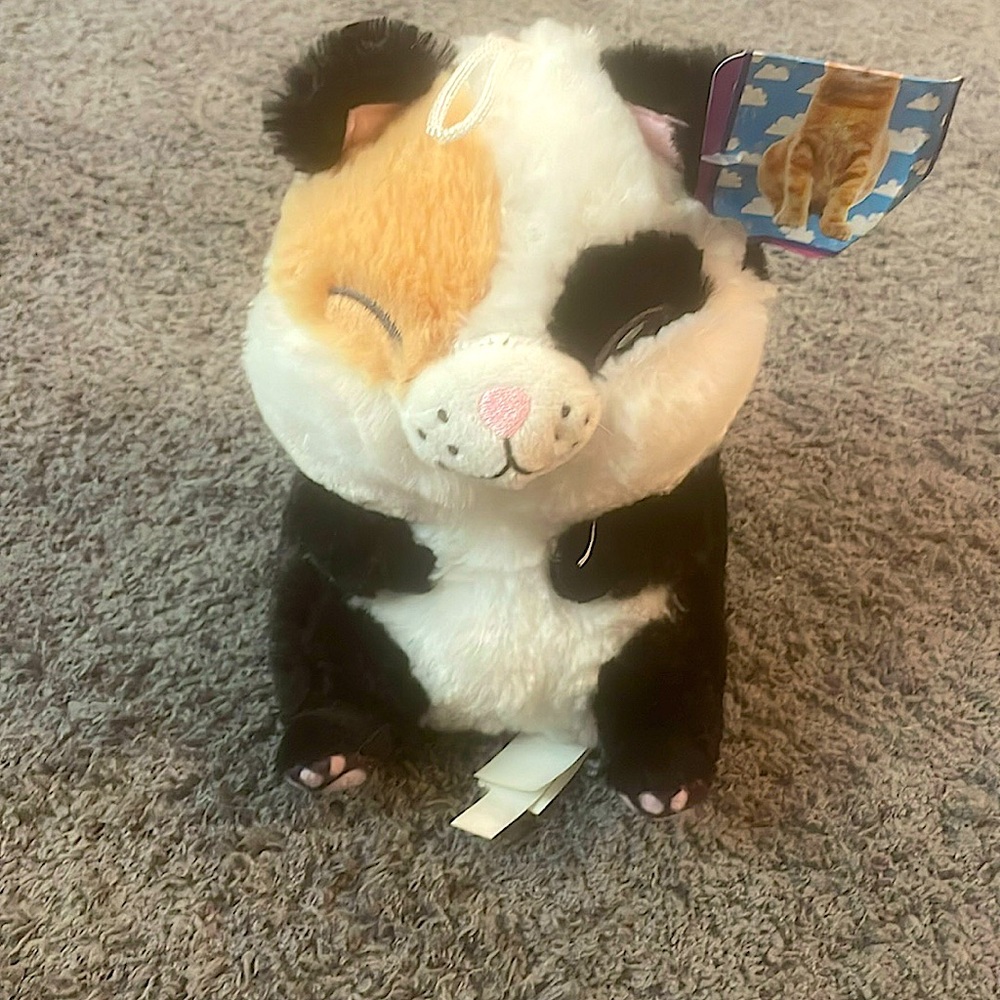 Hamster Guinea pig black tan beige orange white cute soft cuddly big backed